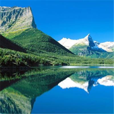 im电竞官方app下载